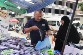 Rize'de tezgahlara gelen bol palamut 50 ile 100 lira arasında satılıyor