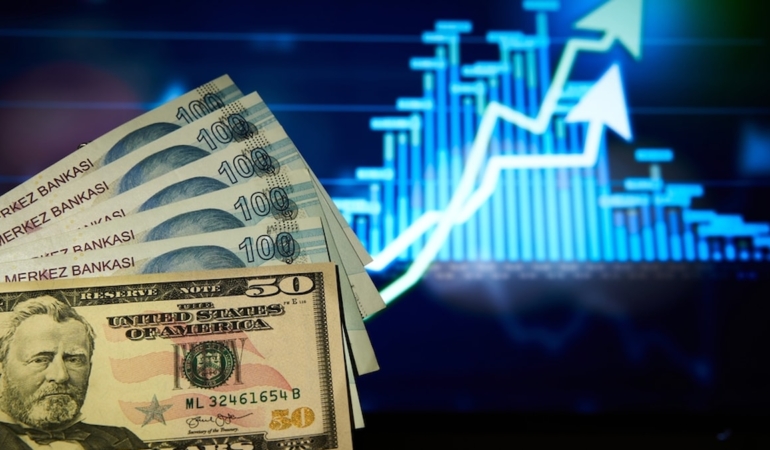 Dolar/TL haftanın ilk işlem gününde 49,1630 ile tarihi zirvesini yeniledi