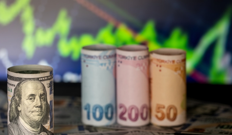 Küresel Piyasalarda Dolar Gerilerken İç Piyasada Döviz Kurları Rekor Seviyelere Çıktı